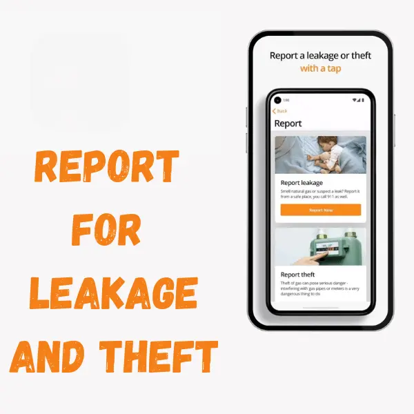 leakage and theft report option screen shot of SSGC app