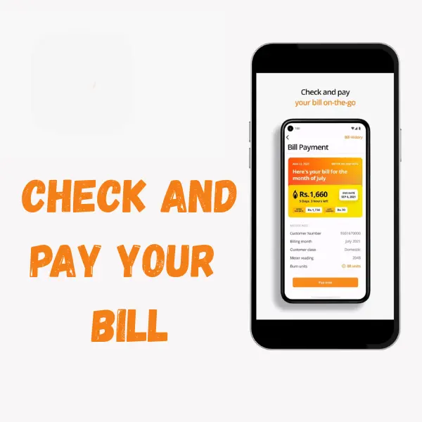 pay bill option screenshot of SSGC bill check app